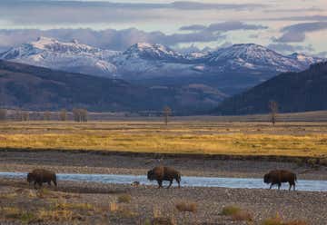 Photo of Lamar Valley