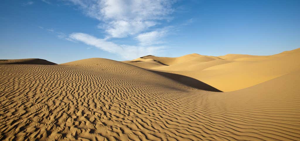 Photo of Imperial Sand Dunes Recreation Area