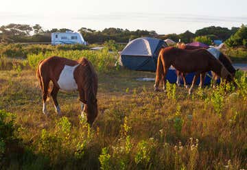 Photo of Assateague State Park Campground