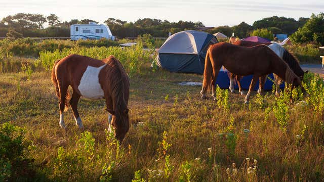 Assateague State Park Berlin Md Roadtrippers