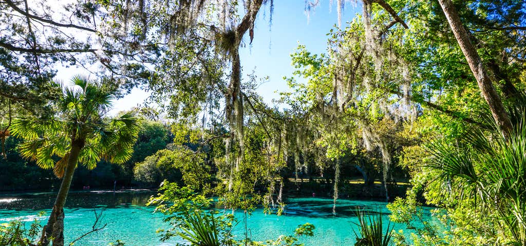 Photo of Silver Springs State Park