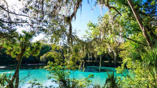 Silver Springs State Park Ocala Fl Roadtrippers