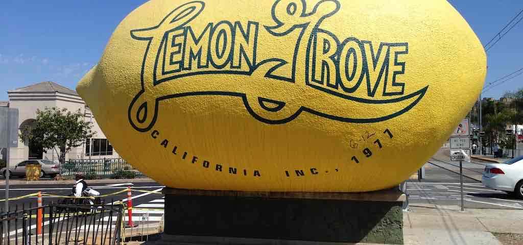 Photo of World's Largest Lemon