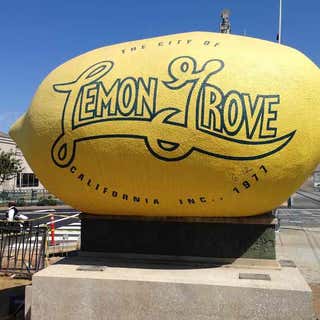World's Largest Lemon