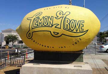 Photo of World's Largest Lemon