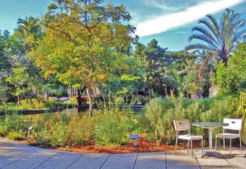Photo of Miami Beach Botanical Garden