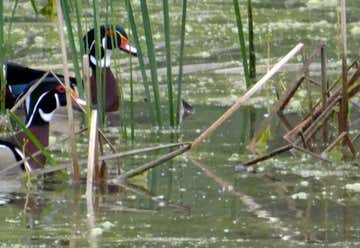 Photo of De Soto National Wildlife Refuge