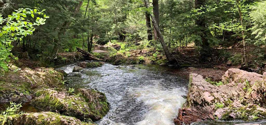 Photo of Little Carp River Trail