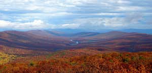 Sleepy Creek Wildlife Management Area