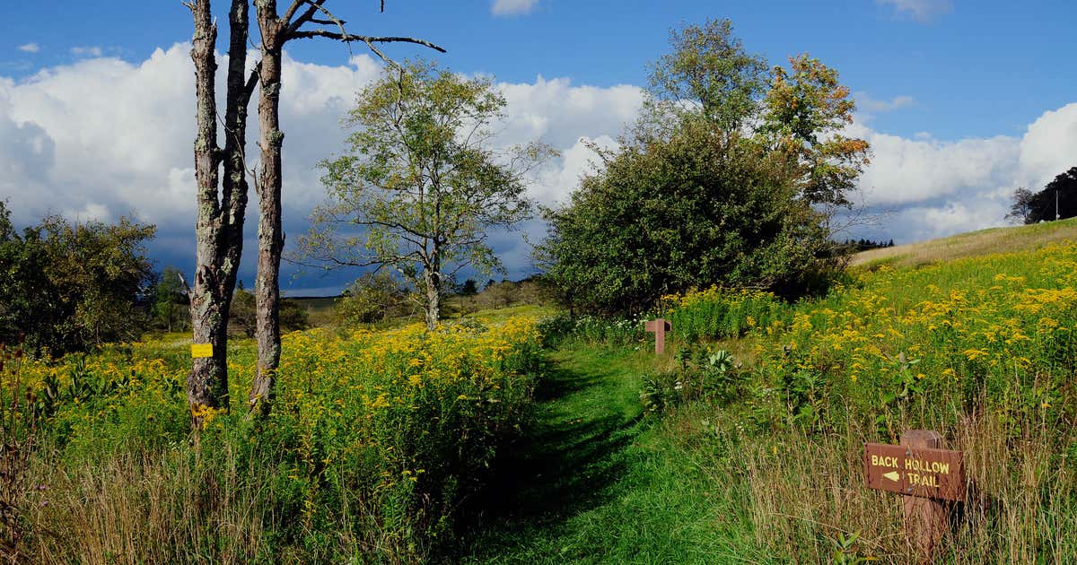 Canaan valley campground clearance
