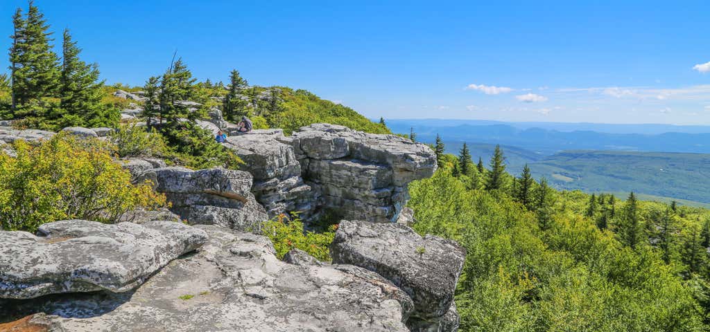 Photo of Dolly Sods Wilderness