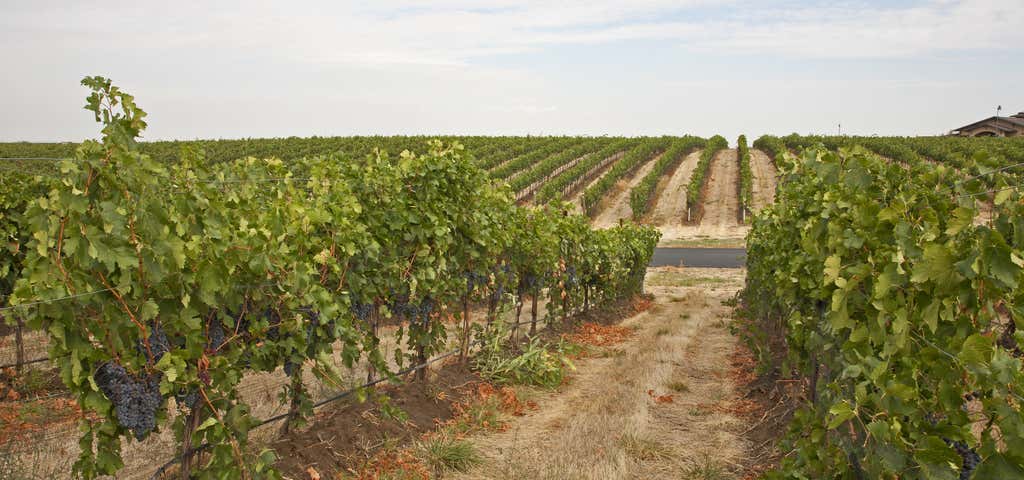 Photo of Waters Winery