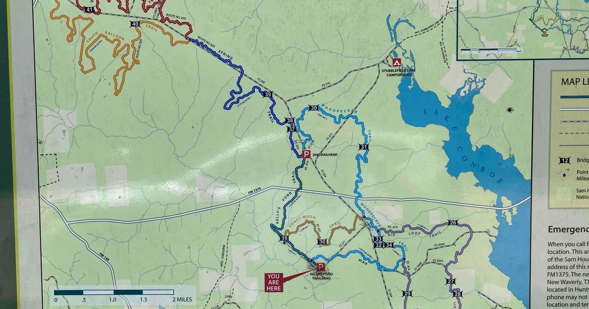 Sam Houston National Forest, New Waverly Roadtrippers