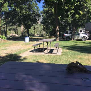 Laughing Alpaca RV Park & Campground