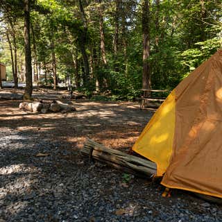 Harrisonburg - Shenandoah Valley KOA