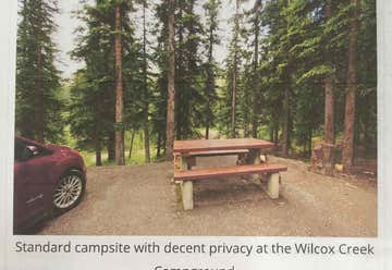Photo of Wilcox Creek campground