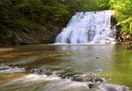 Photo of Cane Creek Falls