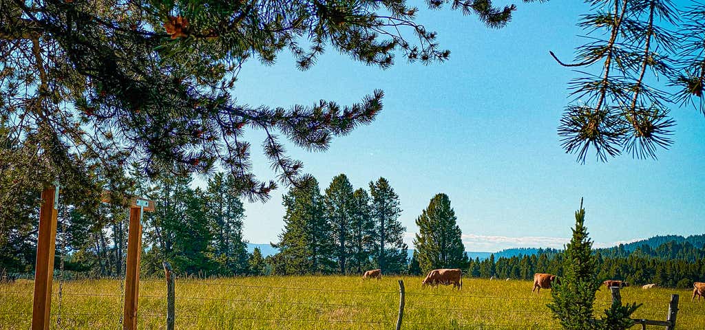 Photo of Yellowstone Park-West Gate KOA Holiday