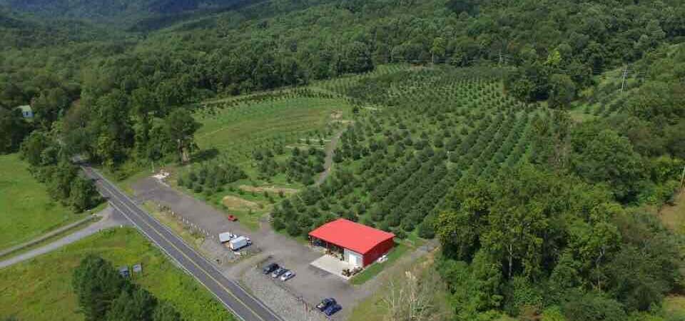 Photo of Thornton River Orchard