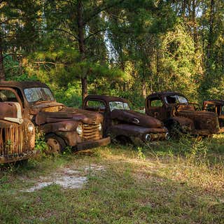 Ford Truck Graveyard