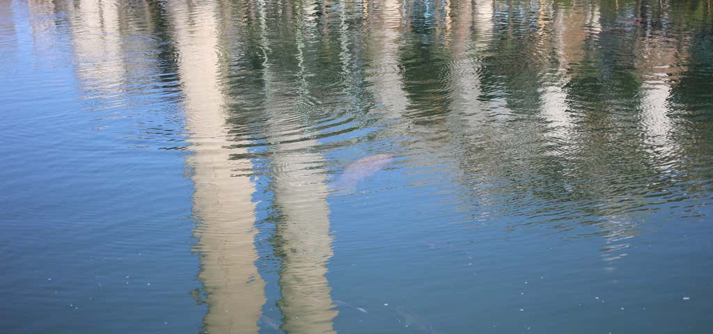 Photo of Tampa Electric Manatee Viewing Center