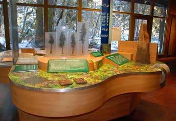 Photo of Hoh Rain Forest Visitor Center