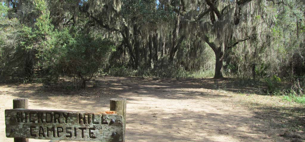 Photo of Hickory Hill Wilderness Campsite