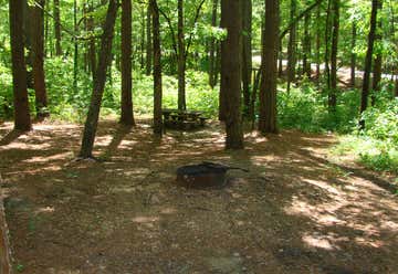 Photo of Jeff Busby Campground