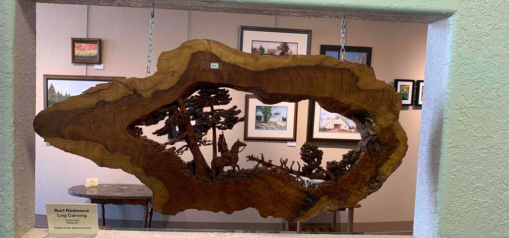 Photo of Petrified Wood Gallery