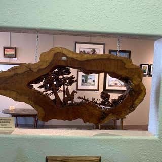 Petrified Wood Gallery