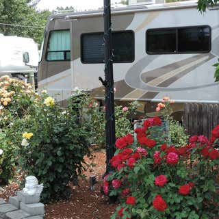 Rising River RV Park