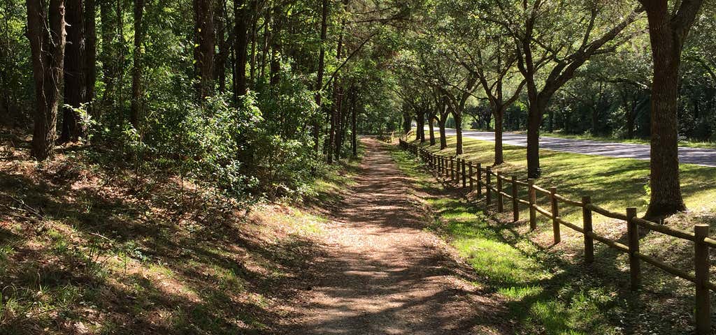 Photo of Miccosukee Greenway Trail