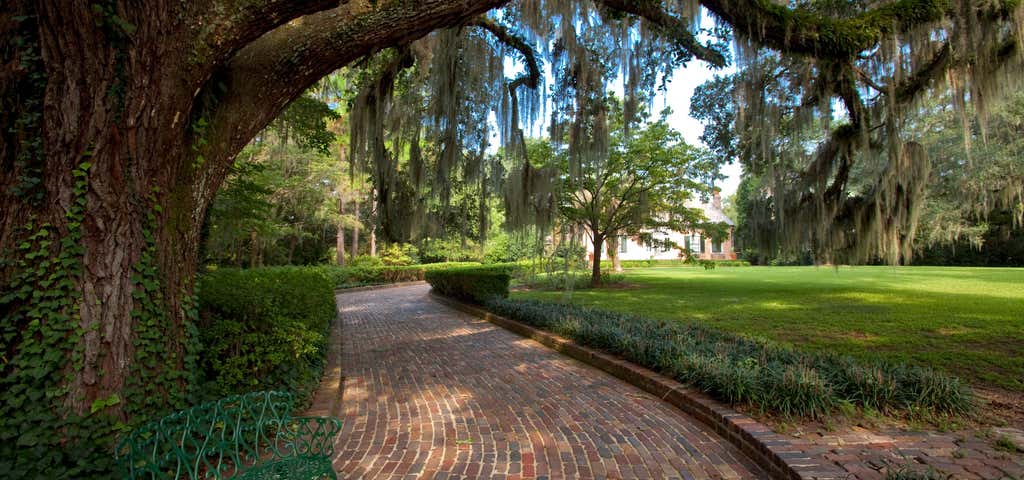 Photo of Alfred B. Maclay Gardens State Park