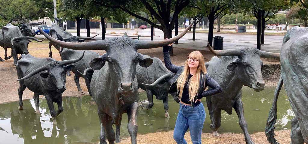 Photo of Dallas Cattle Drive Sculptures