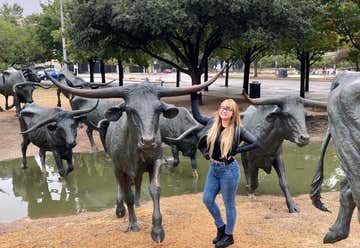 Photo of Dallas Cattle Drive Sculptures