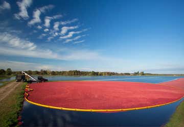 Photo of Glacial Lake Cranberries