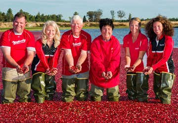 Photo of Wetherby Cranberry Company
