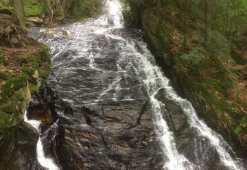Photo of Thundering Falls Trail
