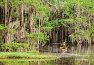 Photo of Caddo Lake State Park