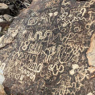 Grapevine Canyon Petroglyphs (AZ:F:14:98 ASM)