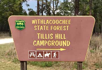 Photo of Tillis Hill Campground