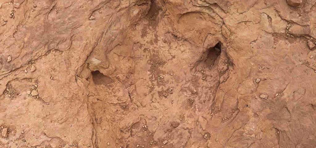 Photo of Copper Ridge Dinosaur Tracks Interpretive Site