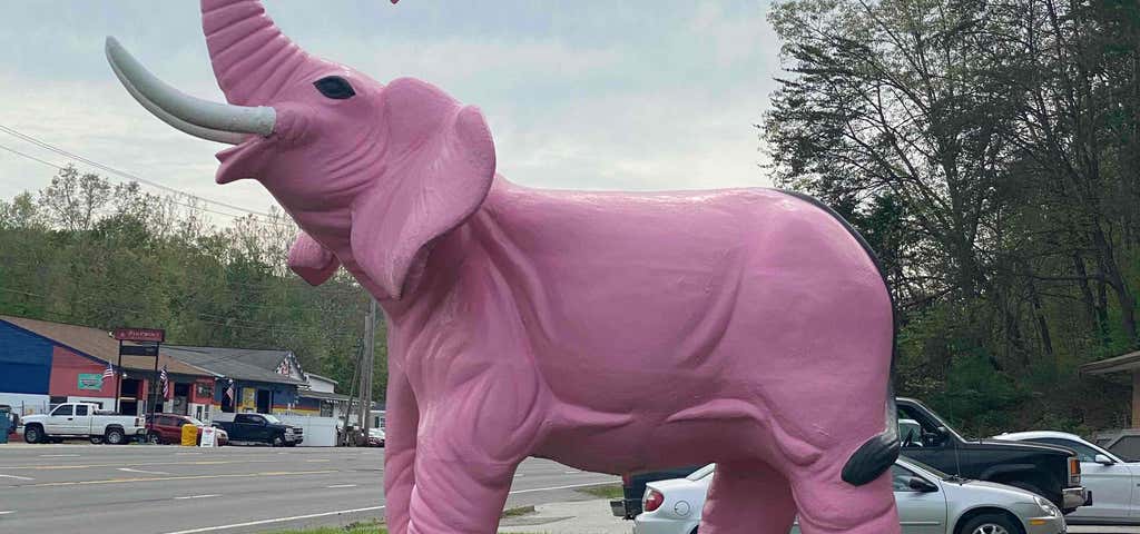 Photo of The Pink Elephant