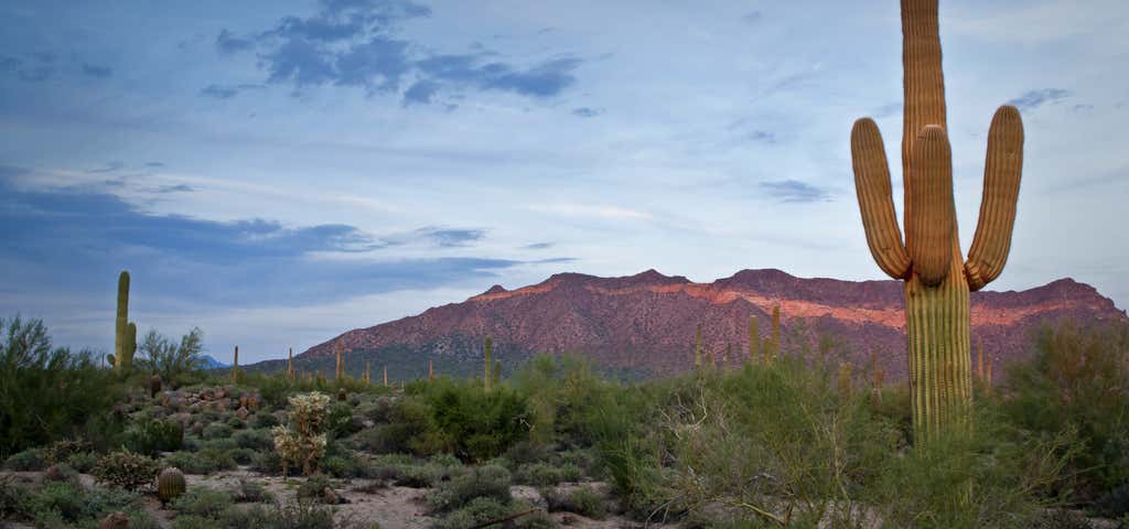 Photo of Usery Mountain Regional Park Campground
