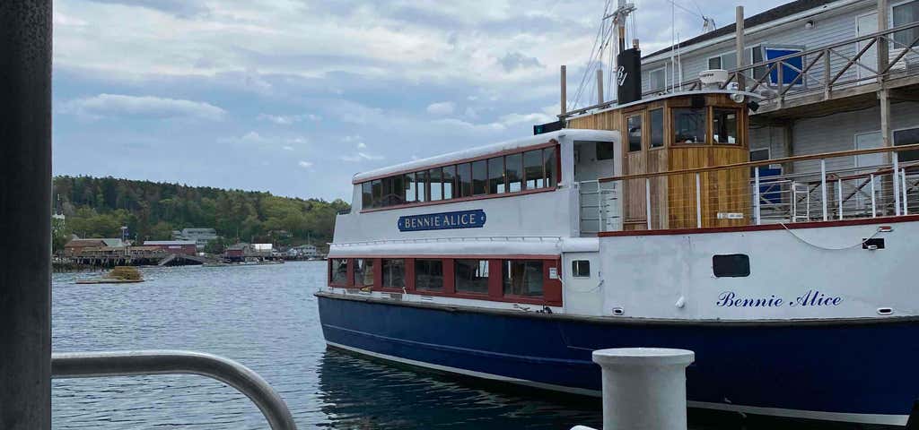 Photo of Cap'n Fish's Puffin Nature Cruises