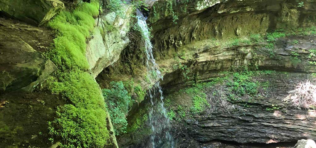 Photo of Cane Creek Canyon Nature Preserve