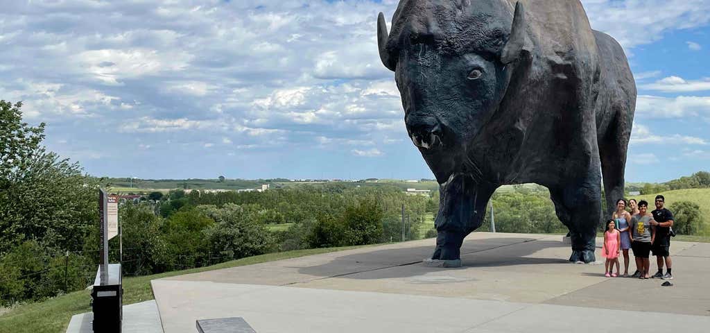 Photo of World's Largest Buffalo