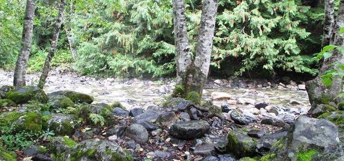 Photo of Denny Creek Campground