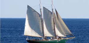 Schooner Eleanor Sailing Trips
