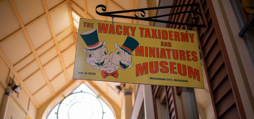 Photo of The Wacky Taxidermy and Miniatures Museum